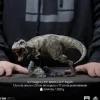 T-Rex - Jurassic World - Icons - Iron Studios